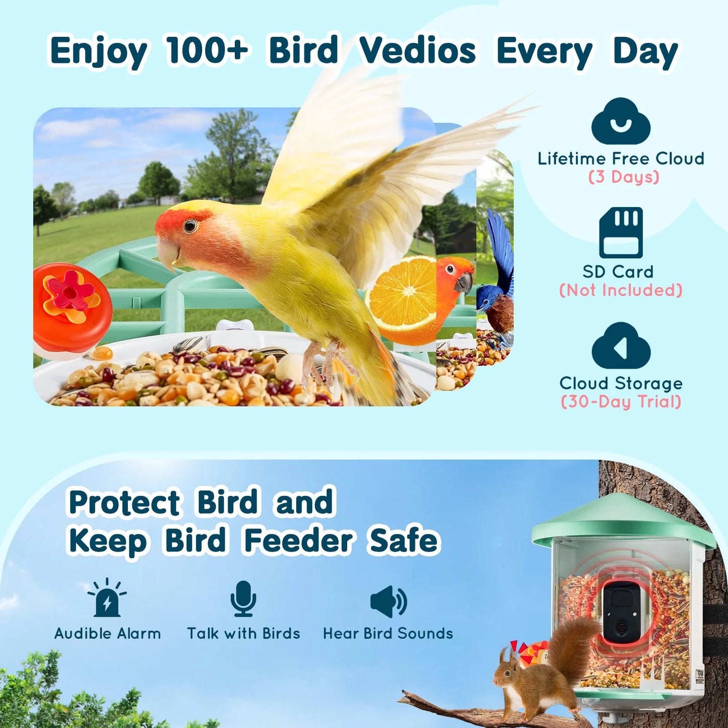VEVOR Smart Bird Feeder with Camera 2K HD AI Identify Bird Species Auto Capture - ROCKY MOUNTAIN HOMESTEAD 